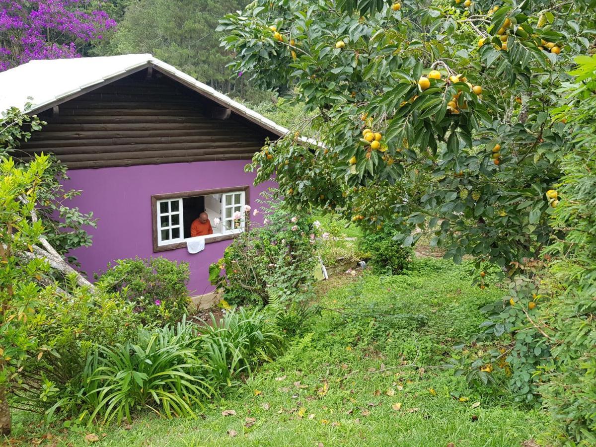 Villa Vale Das Maritacas Teresópolis Extérieur photo