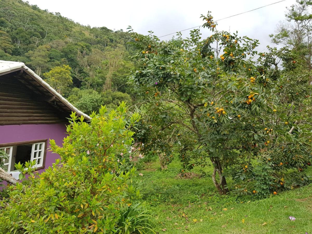 Villa Vale Das Maritacas Teresópolis Extérieur photo